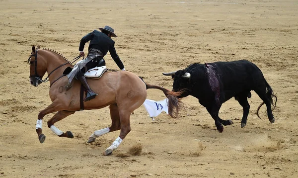 Stierkampf Zwischen Stier Und Pferd Spanien Auf Der Spanischen Stierkampfarena — Stockfoto