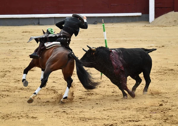 Bullfighting Entre Touro Cavalo Espanha Praça Touros Espanhola — Fotografia de Stock