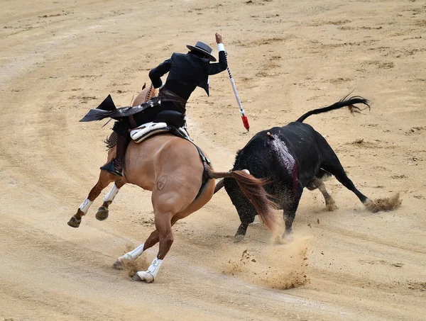 Stierkampf Zwischen Stier Und Pferd Spanien Auf Der Spanischen Stierkampfarena — Stockfoto