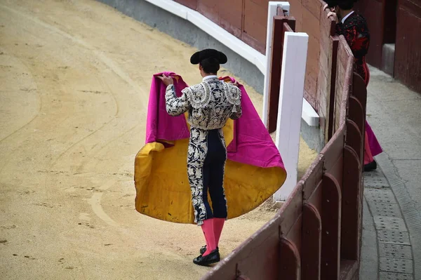 Toros Entre Toros Caballos España Plaza Toros Española — Foto de Stock