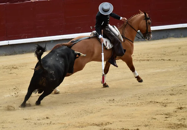 Bullfighting Entre Touro Cavalo Espanha Praça Touros Espanhola — Fotografia de Stock