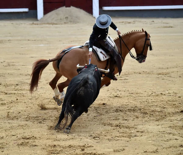 Stierkampf Zwischen Stier Und Pferd Spanien Auf Der Spanischen Stierkampfarena — Stockfoto