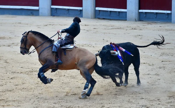 Bullfighting Bull Horse Spain Spanish Bullring — Stock Photo, Image