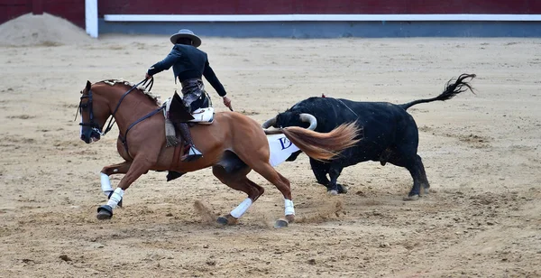 Bullfighting Entre Touro Cavalo Espanha Praça Touros Espanhola — Fotografia de Stock