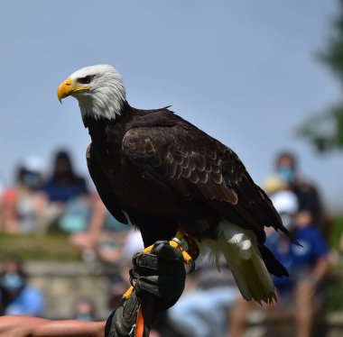 İspanya 'da güzel kırmızı bir uçurtma