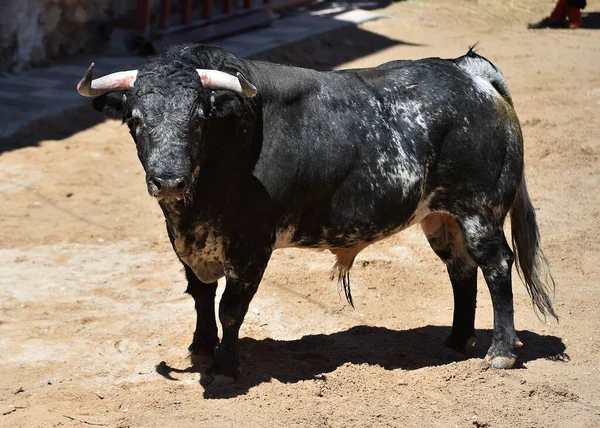 Taureau Espagnol Avec Grandes Cornes Dans Spectacle Traditionnel Corrida Sur — Photo