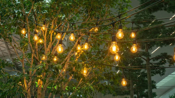 Incheon Coreia Sul Agosto 2018 Árvores Iluminadas Com Lâmpadas Aeroporto — Fotografia de Stock