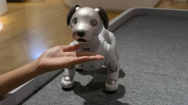 Tokyo, Japonya - Ağustos 2018: Tokyo'daki Sony Showroom'da düzenlenen gösteride Aibo ile oynayan kimliği belirsiz kadın
