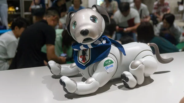 Tokyo, Japonya - Ağustos 2018: Aibo Tokyo Sony Showroom Aibo Gathering sırasında kameraya bakıyor