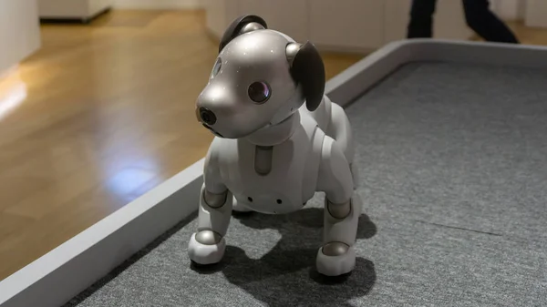 Tokyo, Japonya - Ağustos 2018: Tokyo Sony Showroom bir gösteri sırasında Aibo