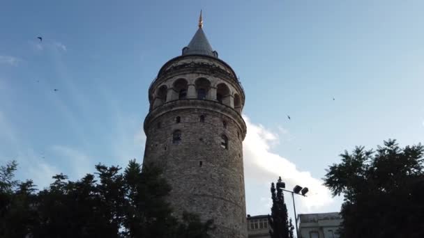 Stambuł Turcja Czerwiec 2019 Wieża Galata Stary Budynek Atrakcja Turystyczna — Wideo stockowe