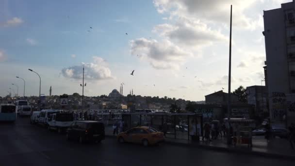 Istanbul Türkei Juni 2019 Möwen Fußgänger Und Autoverkehr Rund Die — Stockvideo