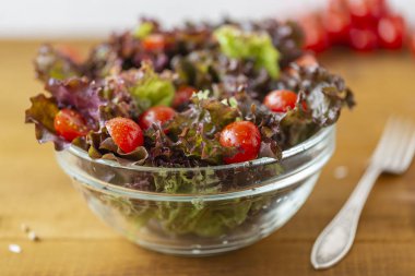 Tam kase taze yeşil salata domates ile kapatın. Kavram yararlı ve basit gıda