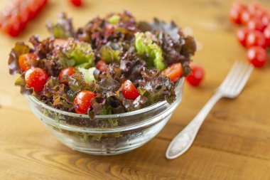 Tam kase taze yeşil salata domates ile kapatın. Kavram yararlı ve basit gıda