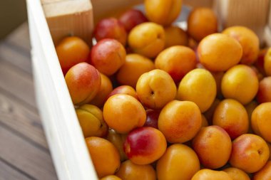 eski ahşap tablo yaprakları ile kayısı.