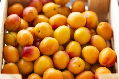 eski ahşap tablo yaprakları ile kayısı.