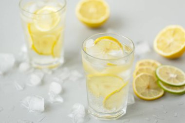 Limon, limon, nane ve buz ile alkollü içki (cin tonik).
