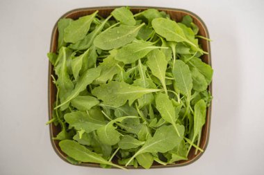 Beyaz arka plan üzerinde izole bir kase taze roka salatası. Üstten görünüm