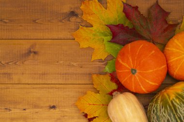 Sarı, kırmızı sonbahar yaprakları ve kabaklar rustik ahşap zemin üzerinde. Metin, mevsimlik selamlar, sonbahar sonbahar tatil, hasat zamanı, rahat ruh hali için yer. 