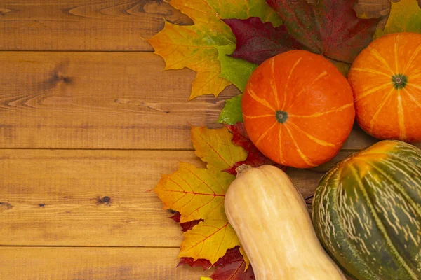 Thanksgiving background. Autumn vegetables, berries and leaves on a wooden Board. The concept of thanksgiving.