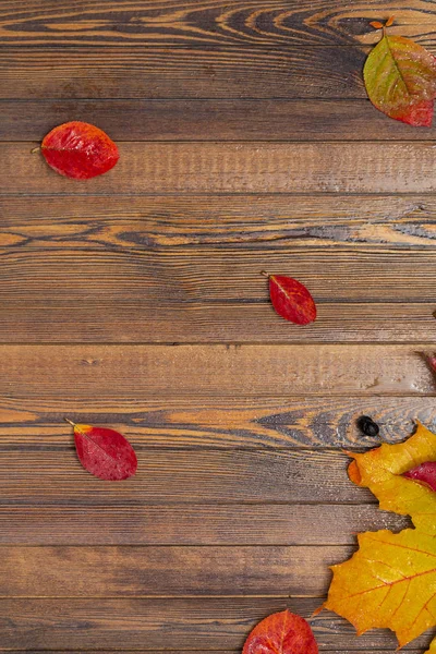 Jesienny Baner Żółte Liście Drewniane Teksturowanej Tło Tło Upadek Święto — Zdjęcie stockowe