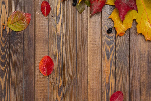 Jesień Tle Opadłych Liści Jagód Starym Drewnianym Stole Pojęcie Dziękczynienia — Zdjęcie stockowe