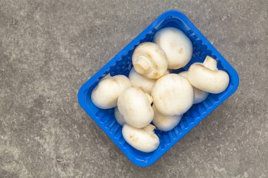 Mantar petrol. Taze çiğ bütün petrol gri arka plan üzerinde görünümü top