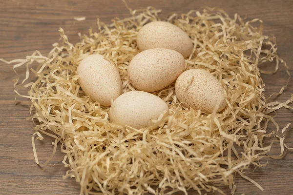 Ένα Νόστιμο Γαλοπούλα Αυγό Έγκειται Μια Φωλιά — Φωτογραφία Αρχείου