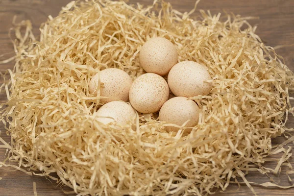 Смачне Яйце Індички Лежить Гнізді — стокове фото