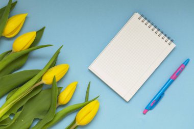 Metin için Not defteri ile mavi zemin üzerine sarı laleler. Metni için bir yer. Üstten görünüm.