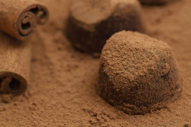 Kakao tozu üzerinde trüf çikolata şekerleri. Gurme yemekler, lezzetli tatlı.
