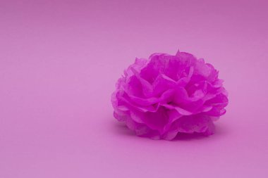 Renkli arka plan üzerinde bir dekorasyon için kağıt ponpon. Ev, düğün, parti dekorasyonu. En az tarzda arka plan.  