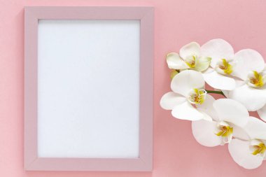 Pembe arka plan üzerinde güzel Beyaz Phalaenopsis orkide çiçekler. Üst görünüm boş pembe arka plan üzerinde fotoğraf çerçevesi mock up. Orkide Dalı yakından. Metin için alan 