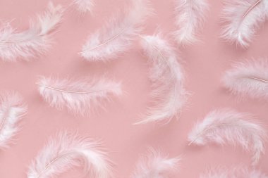 Beyaz tüyler. Pastel pembe arka planda yumuşak, kabarık tüyler. Düz döşeme kompozisyonu. Minimalist tarz. 