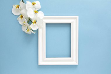 Güzel beyaz orkide (Phalaenopsis) çiçekler, mavi arka plan üzerinde ahşap beyaz fotoğraf çerçevesi. Üst görünüm, düz yatıyordu. Tropikal çiçek, orkide dalı yakın. Metin için boşluk. Çiçek Kartı 