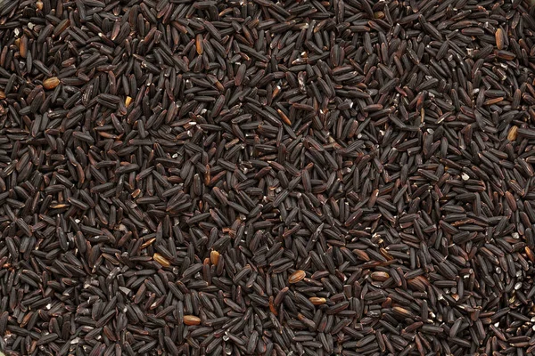 Grain Fond Riz Noir Riz Noir Est Grain Entier Contexte — Photo