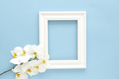 Beyaz orkide ile beyaz fotoğraf çerçevesi. Güzel Beyaz Phalaenopsis orkide çiçekler, mavi arka plan düz ahşap beyaz fotoğraf çerçevesi yatıyordu. Metin için çerçeve. Kadınlar Günü. Çiçek Kartı.  