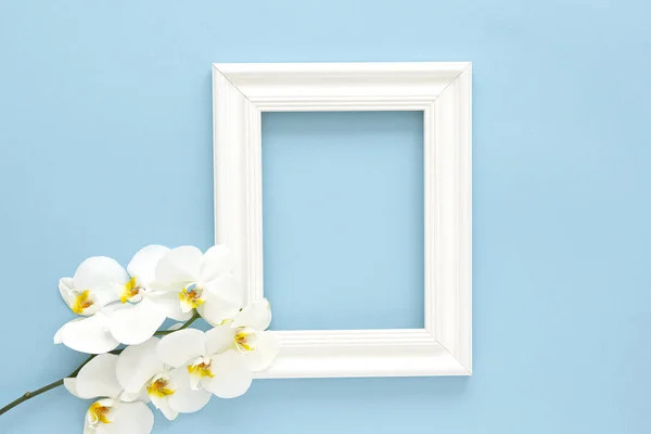 White photo frame with white orchids. Beautiful White Phalaenopsis orchid flowers, wooden white photo frame on blue background flat lay.  Frame for text. Women\'s Day. Flower Card.