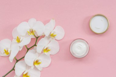 Pembe arka plan üzerinde krem ve Beyaz Phalaenopsis orkide çiçekleri ile açılan plastik konteyner. Düz yatıyordu. Cilt bakımı için doğal güzellik ürünü. Organik kozmetik konsepti.