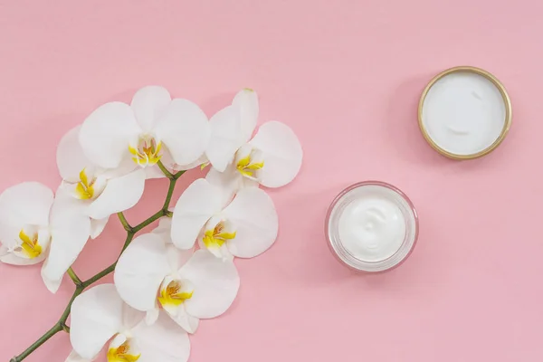 Recipiente Plástico Aberto Com Flores Orquídea Creme Phalaenopsis Branco Sobre — Fotografia de Stock