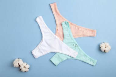 Dişi pastel pamuk, mavi arka planda iç çamaşırı ve pamuk çiçeği. Güzel iç çamaşırı. Üst manzara, düz yatış. Kadın iç çamaşırları.. 