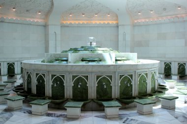 Zayd Şeyh Camii'nin iç mekanı (avize, halı) dünyanın en büyük altı camiden biridir. Birleşik Arap Emirlikleri'nin başkenti Abu Dabi'de yer almaktadır. Şeyh Zeyd ibn Sultan an-Nahyan onuruna adlı - kurucusu ve ilk öncesi