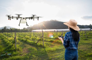 Kadın çiftçi kullanmak akıllı telefon denetim tarım drone fly püskürtülür gübre için üzüm alanların, akıllı çiftlik 4.0 konsept