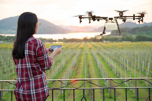 Mujer Agricultora Usa Teléfono Inteligente Control Agricultura Drone Volar Para — Foto de Stock