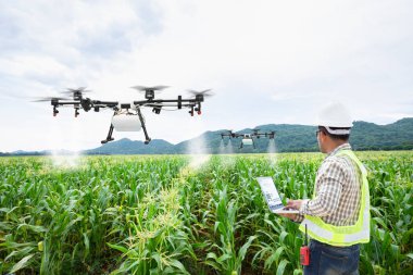 Teknisyen çiftçi kullanım wifi bilgisayar denetimi tarım tatlı mısır sahada robot