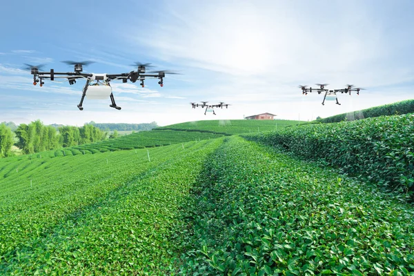 Drone Agricultura Vuela Para Rociar Fertilizante Los Campos Verde Smart — Foto de Stock