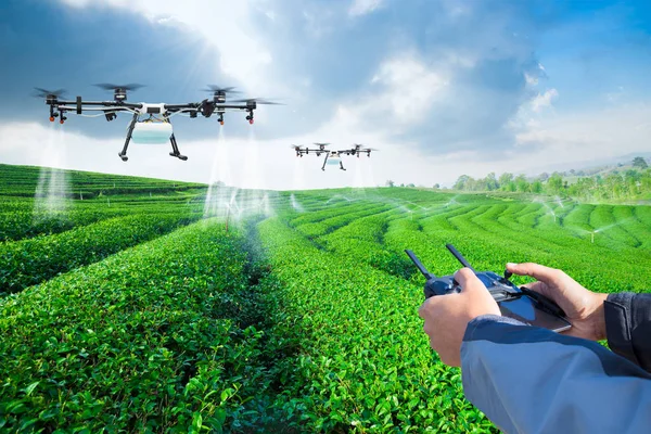 Agricoltura Drone Volare Fertilizzante Spruzzato Sui Campi Verde Smart Farm — Foto Stock