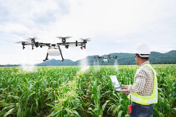 Technician farmer use wifi computer control agriculture drone on sweet corn field