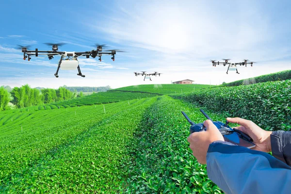 Handgesteuerte Landwirtschafts Drohne Fliegt Versprühtem Dünger Auf Die Grünen Teefelder — Stockfoto