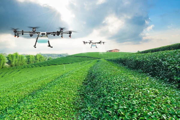 Drone Agricultura Vuela Para Rociar Fertilizante Los Campos Verde Smart —  Fotos de Stock